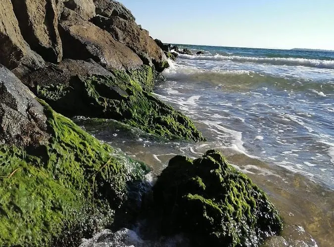 Appartamento Helios 350m From The